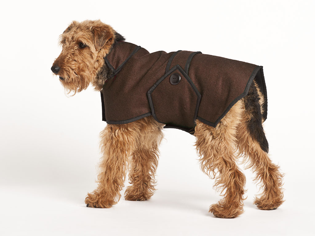Blazer Wool Dog Coat - Brown