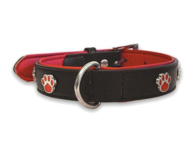 Paws Charm Leather Collar