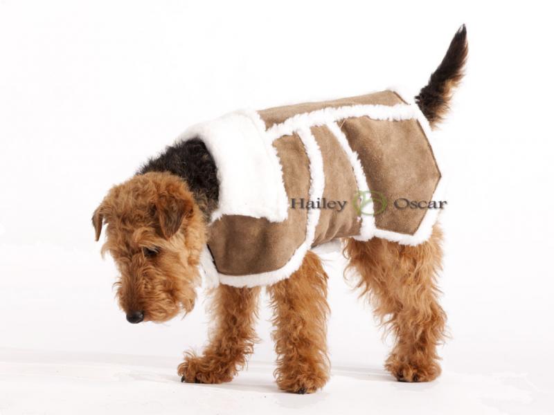 Sherpa Leather Dog Coat - Brown
